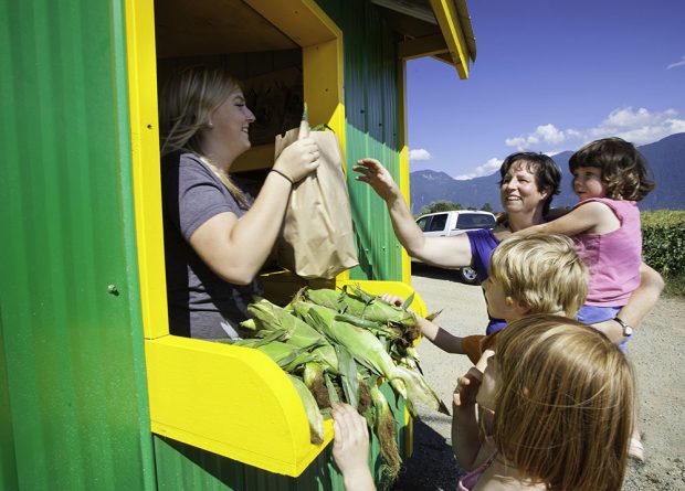 Colour photograph of a woman in a barn handing a bag of corn to another woman and her three children.