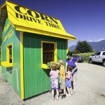 Sparkes Corn Walk/Drive Thru