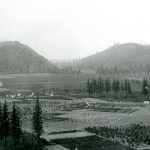 Early Years of the Agassiz Dominion Experimental Farm