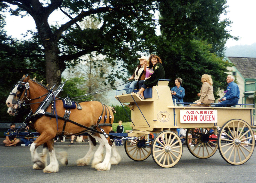 Colour photograph of a group of people in a wagon pulled by a team of horses. There is a sign on the wagon 