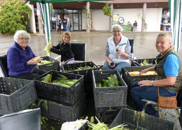 Colour photograph of three women and a girl shucking corn. They are surrounded by piles of grey crates, filled with corn, stacked knee high.