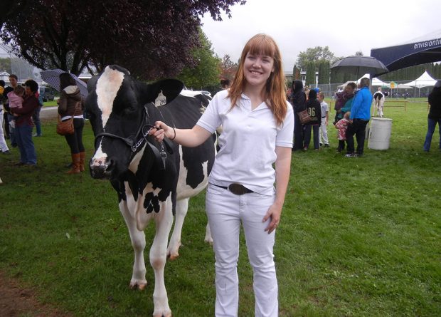 Colour photograph of a young woman leading a cow.