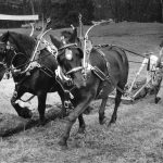 Ploughing Match fit for a King