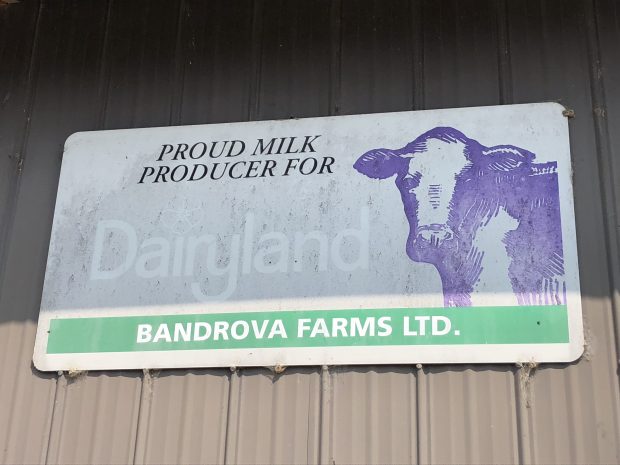 Colour photograph of a Dairyland sign at Bandrova Farms Ltd.