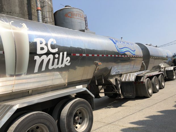 Colour photograph of a BC Milk truck in front of silos. The sign on the truck reads Vedder Transport.