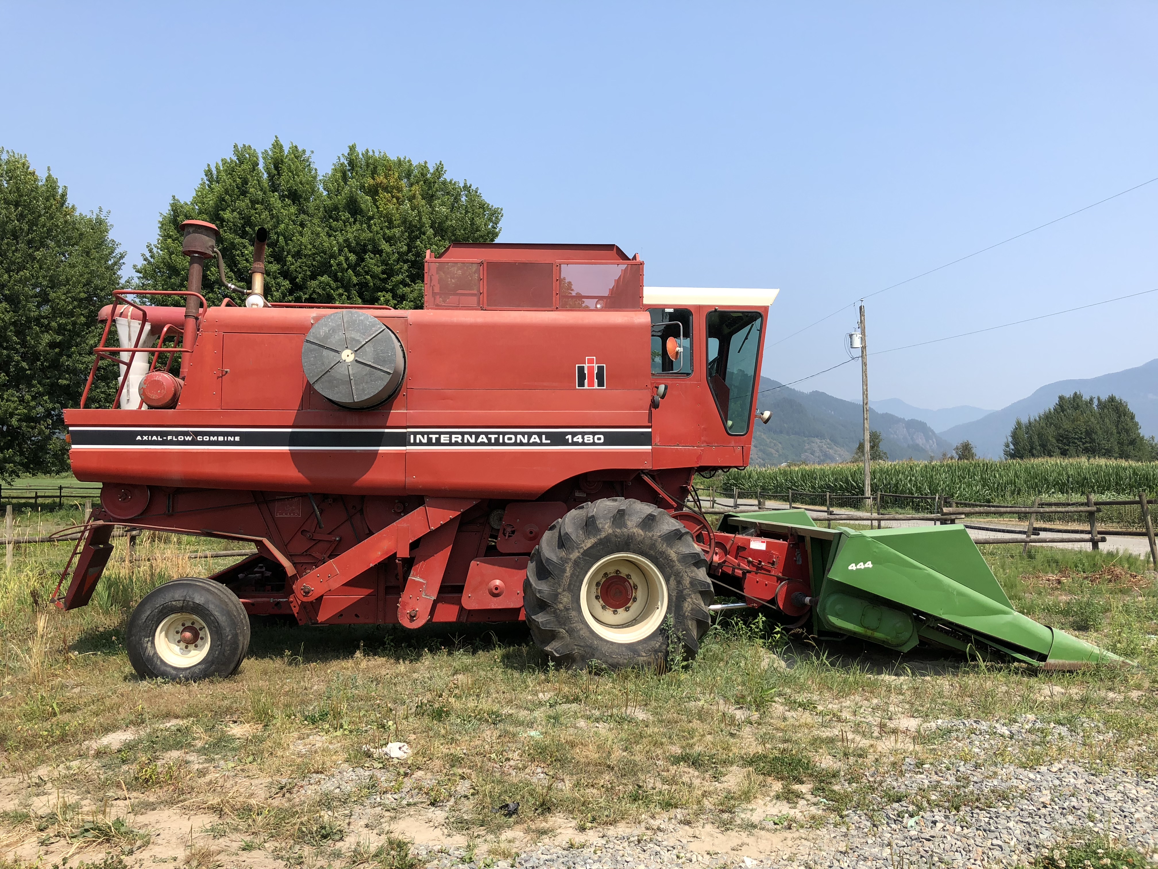 Colour photograph of a red International combine in a field.