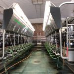 Milking Parlour, Style 1