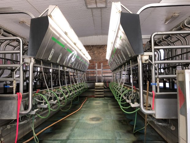 Colour photograph of a stainless steel milking parlour.