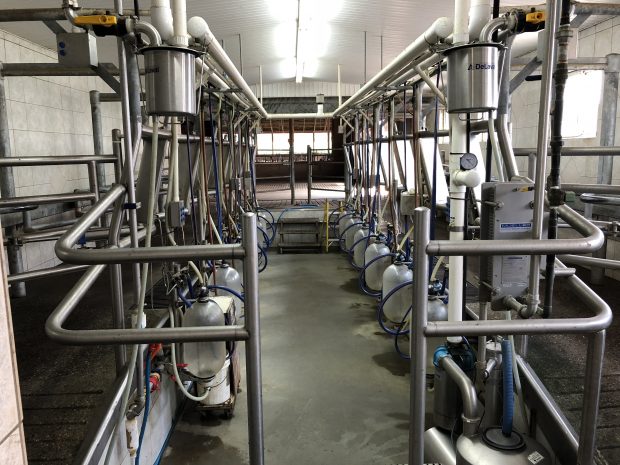 Colour photograph of a stainless steel milking parlour.