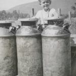 Agassiz Milk Stand