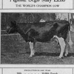 A Banquet in Honour of a Cow