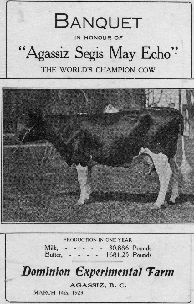 Black and white image of the banquet program for Agassiz Segis May Echo. Includes a picture of the champion cow, 1923.