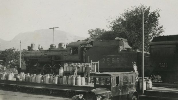 Black and white photograph of men loading approximately 50 large milk cannisters onto a train. Cannisters are being loaded from a car in the foreground.