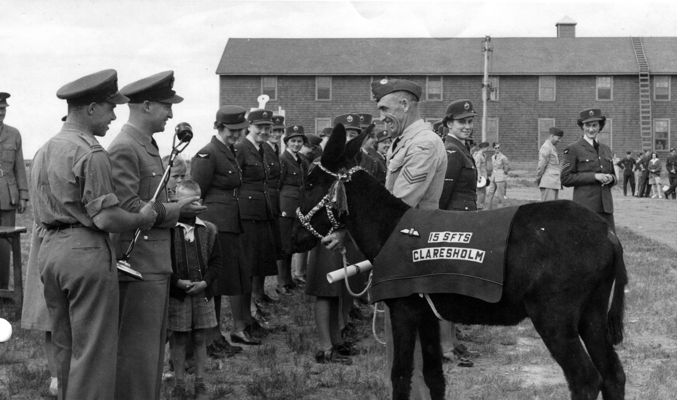 Black donkey wearing a blanket with men and women in military uniforms