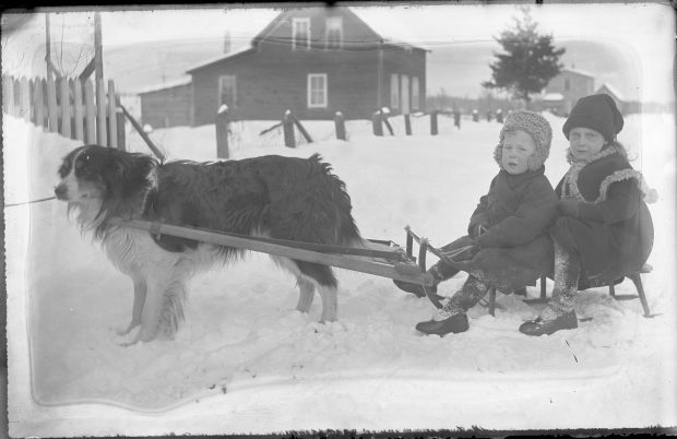 Dog sled and children