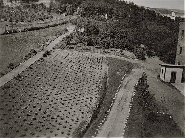 Black and white photo of a garden near a building.