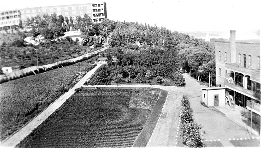 Black and white photo of a garden near a building.