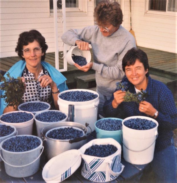 Colour photo of three women in front of several blueberry containers.