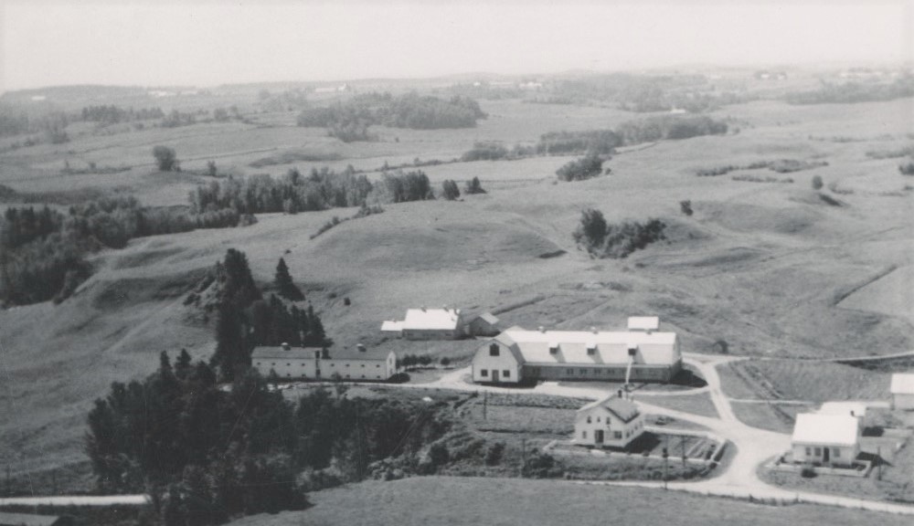 Black and white aerial view of farm buildings.