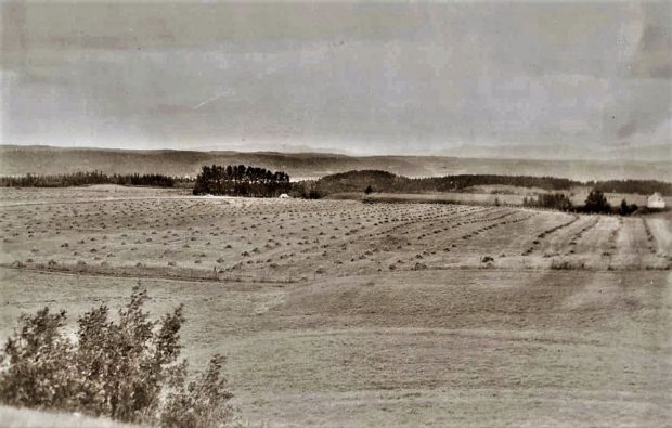 Black and white photo of rolling hills.