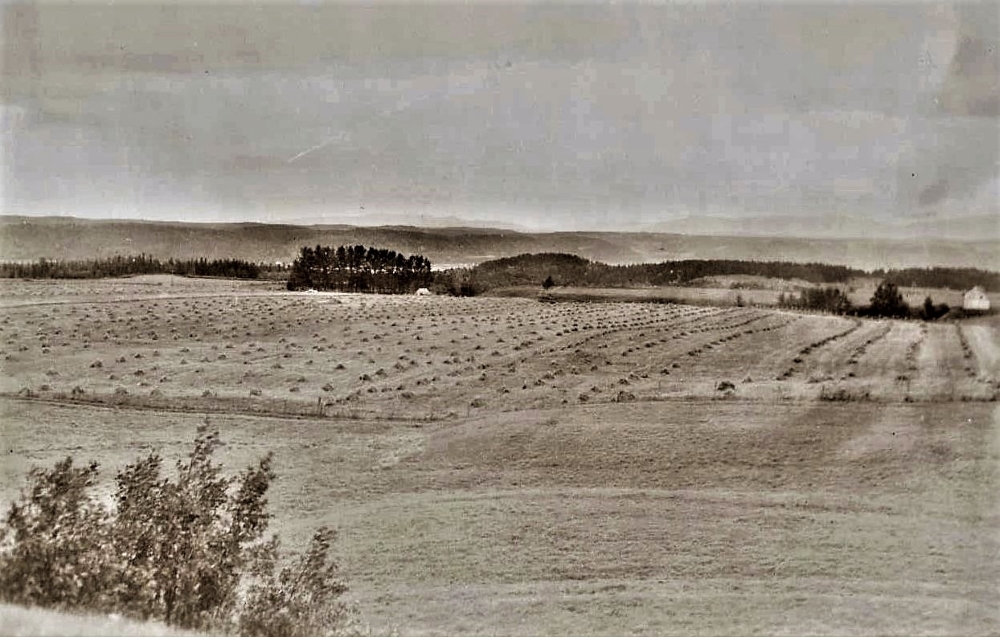 Black and white photo of rolling hills.