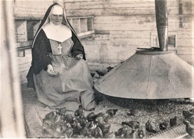 Black and white photo of a nun wearing a veil, cross, and apron, feeding chicks.