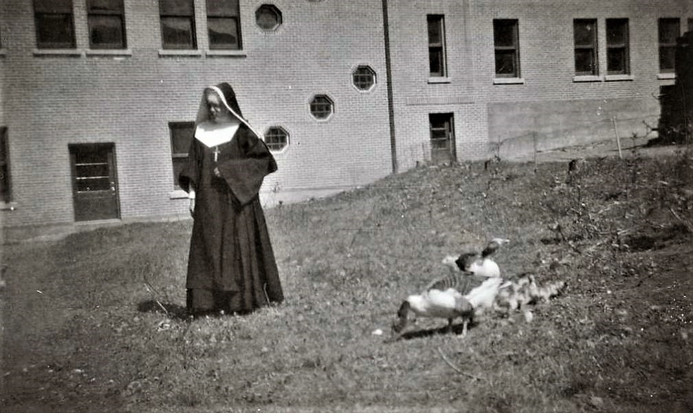 Photo of a nun outside the convent with ducks and ducklings.