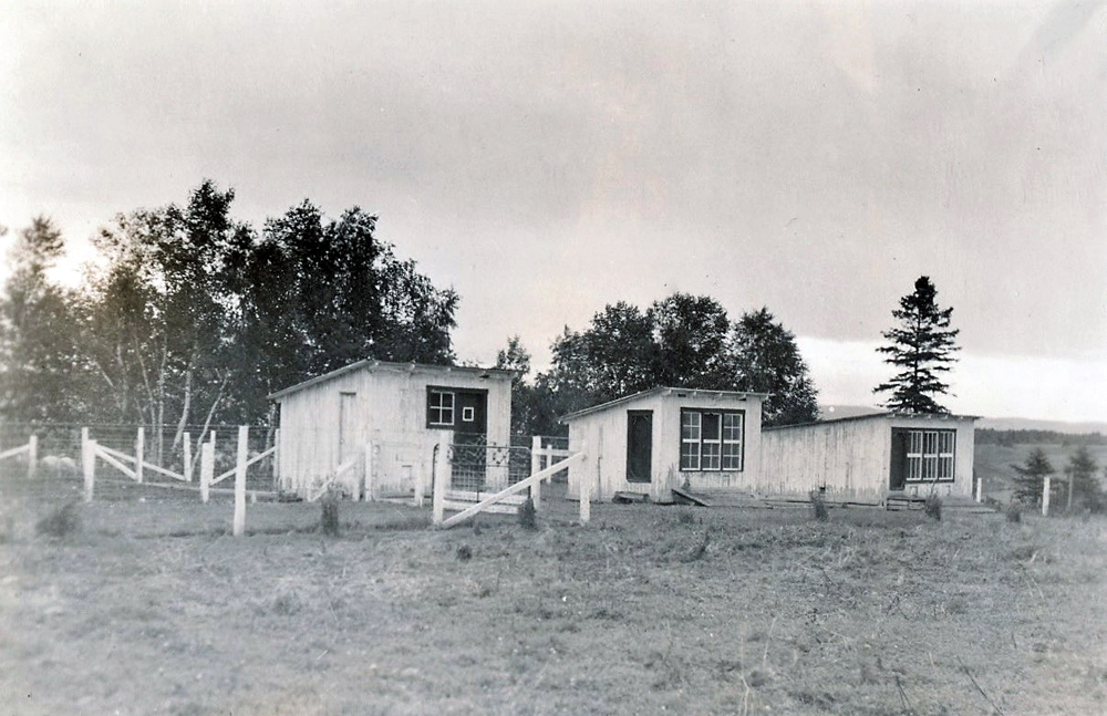 Black and white photo of three small fenced cabins.