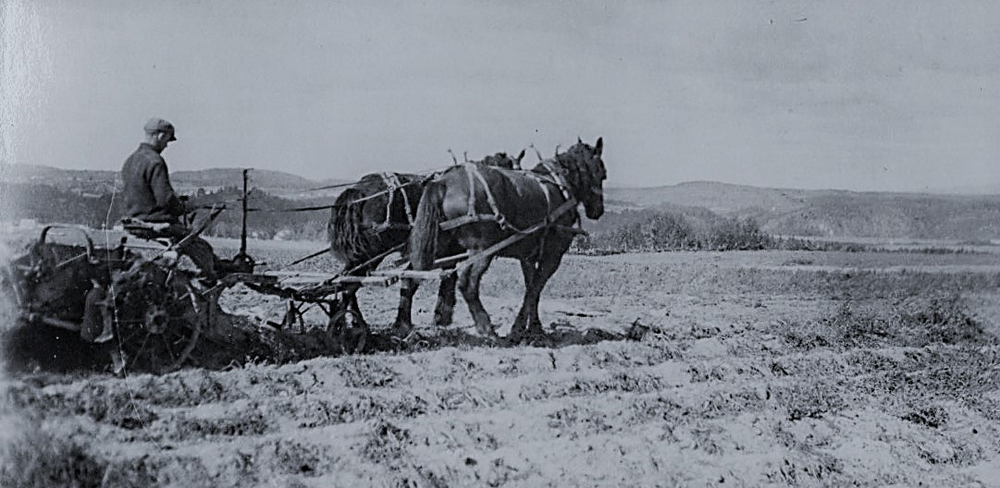 Black and white photo of a man and two horses plowing a field.