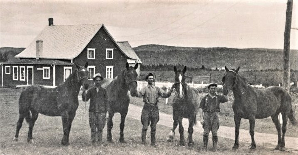 Black and white photo of three men with four large horses.