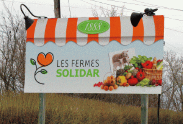Large sign showing LES FERMES SOLIDAR, a vegetable basket, and a photograph of three ewes in the background.