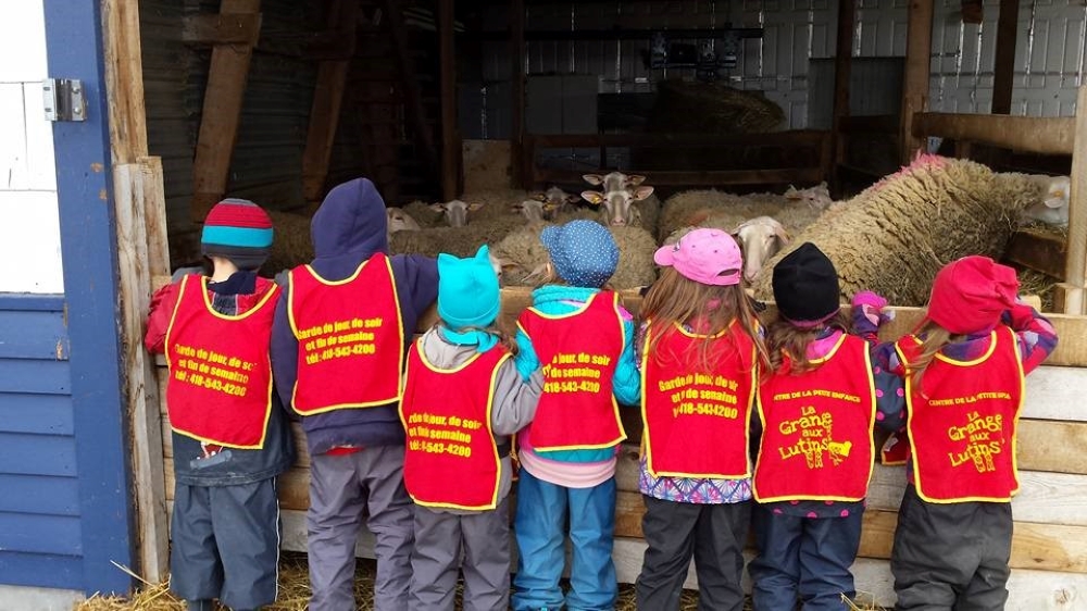 Several children looking at ewes in the barn. They are all wearing red bibs with the words: La grange aux lutins.