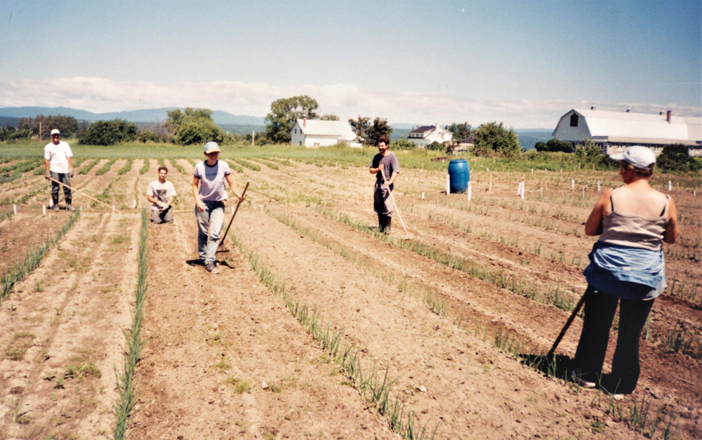 Colour photo of people working in a large field.