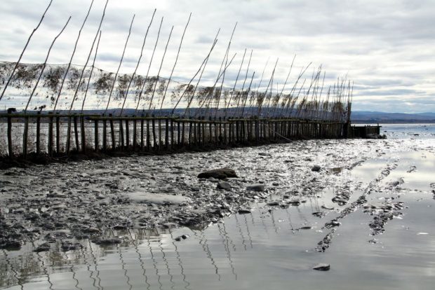 A 95-m barrier stands on a slightly elevated area of gravel and mud. Made of fishing nets held in a vertical position by wooden poles, it extends to a collecting box, also made of wood. The cloudy sky and the poles holding the nets are reflected in the still water in the foreground.