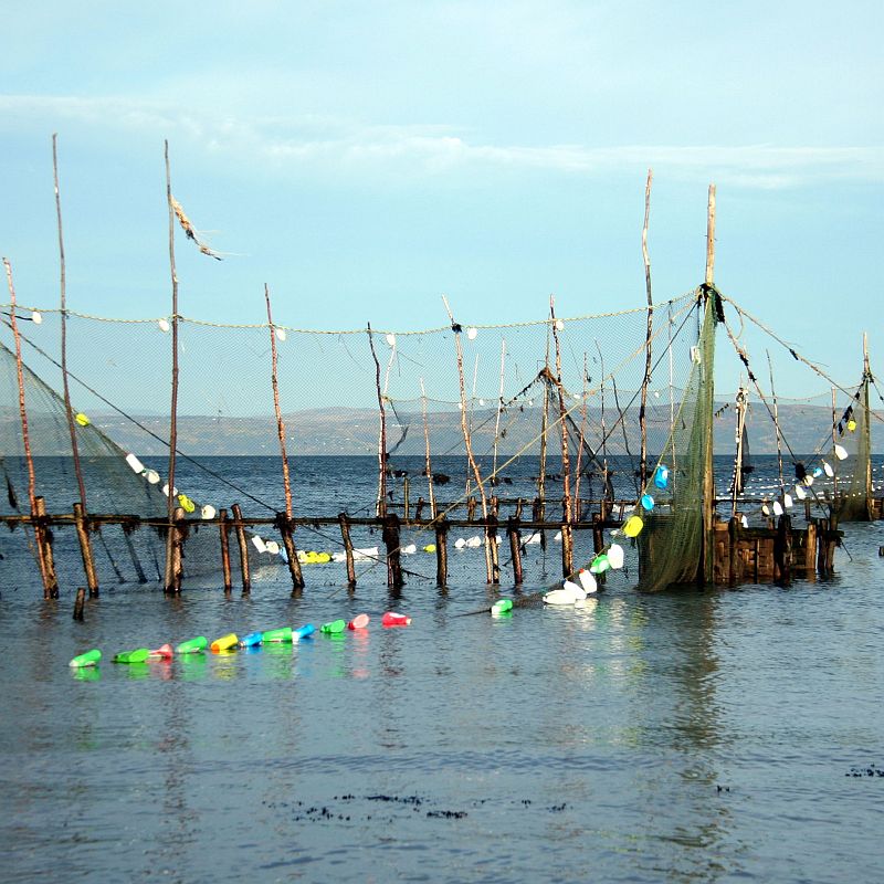 Large fixed nets mounted in a vertical position using wooden stakes and poles form barriers extending to a wooden container in the water. Other nets are starting to float thanks to empty multi-coloured plastic bottles attached to their edges.