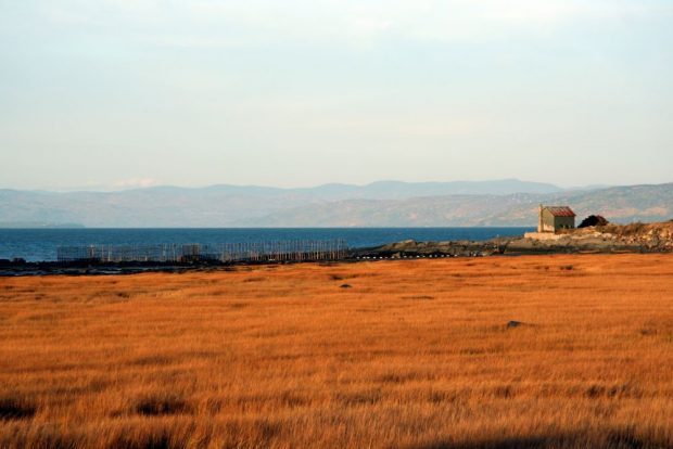 Shoreline landscape with golden eel-grass in the foreground and an eel weir and the blue of the river crossing the middle of the photograph. Snow geese are flying over an old house on the right, and mountains can be seen in the background.