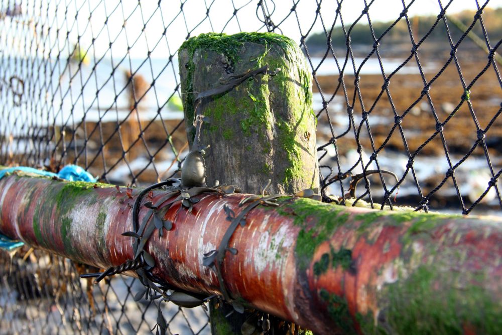 Close-up view of a stake to which a crosspiece is attached. A fishing net is fastened to the back of these pieces of wood.