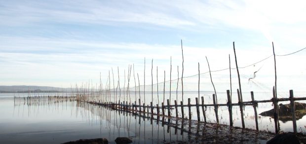 A long eel weir made of nets attached to poles is reflected in the river.