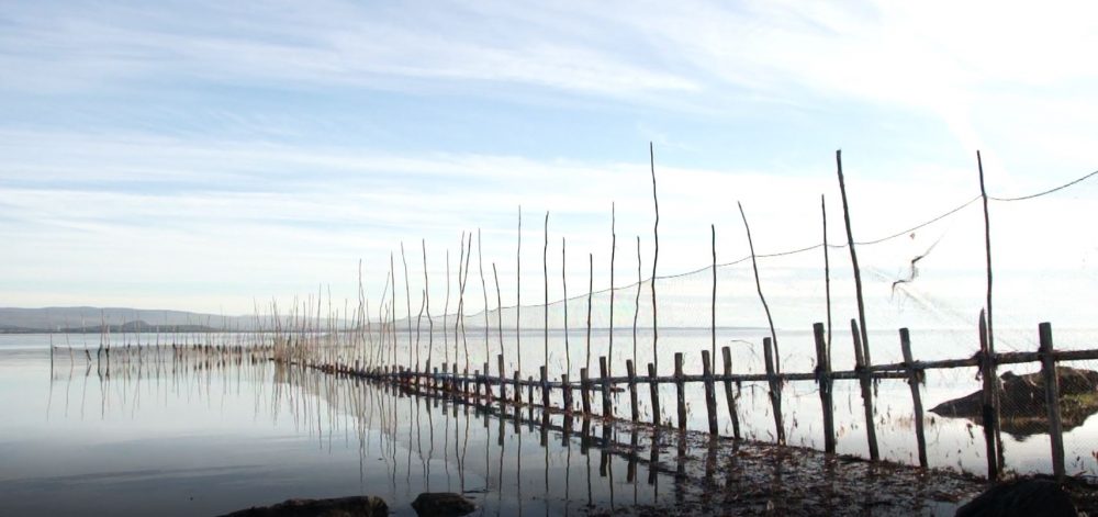 A long eel weir made of nets attached to poles is reflected in the river.