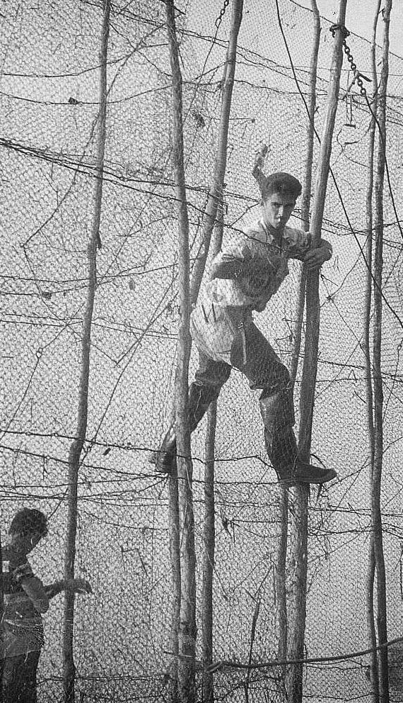 Roughly 3 m above the ground, a man balances on poles between two rows of fishing nets held in a vertical position by long poles. Black and white photograph.