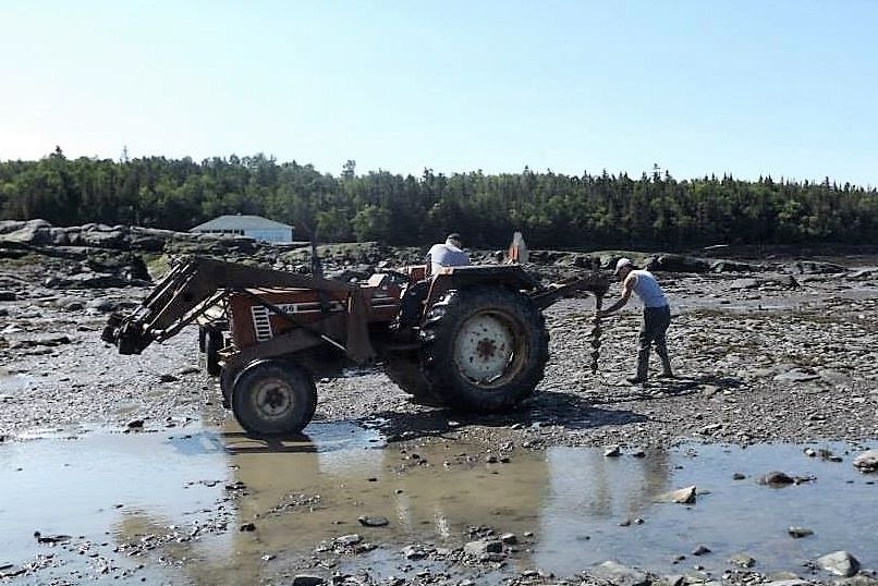 A tractor equipped with an augur sits on the shore of the river. The driver watches another man guide the augur, which is hitched to the back of the tractor, toward the ground.