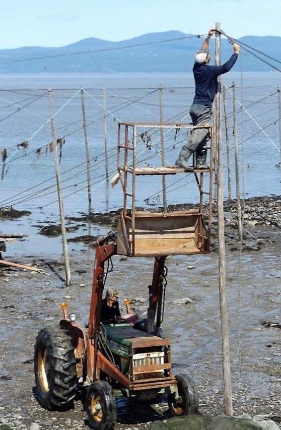 A tractor lifts special scaffolding in its bucket on the shore of the river. A man stands on the scaffolding as he attaches a cable to the top of a post. The river can be seen in the background.