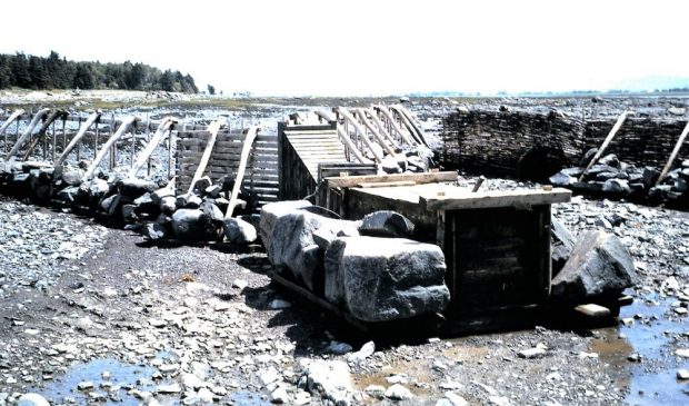 A long row of slatted panels placed side by side stand on the shore of the river at low tide. Some are covered with branches and form a barrier. The panels are held in place by large rocks placed at their base.