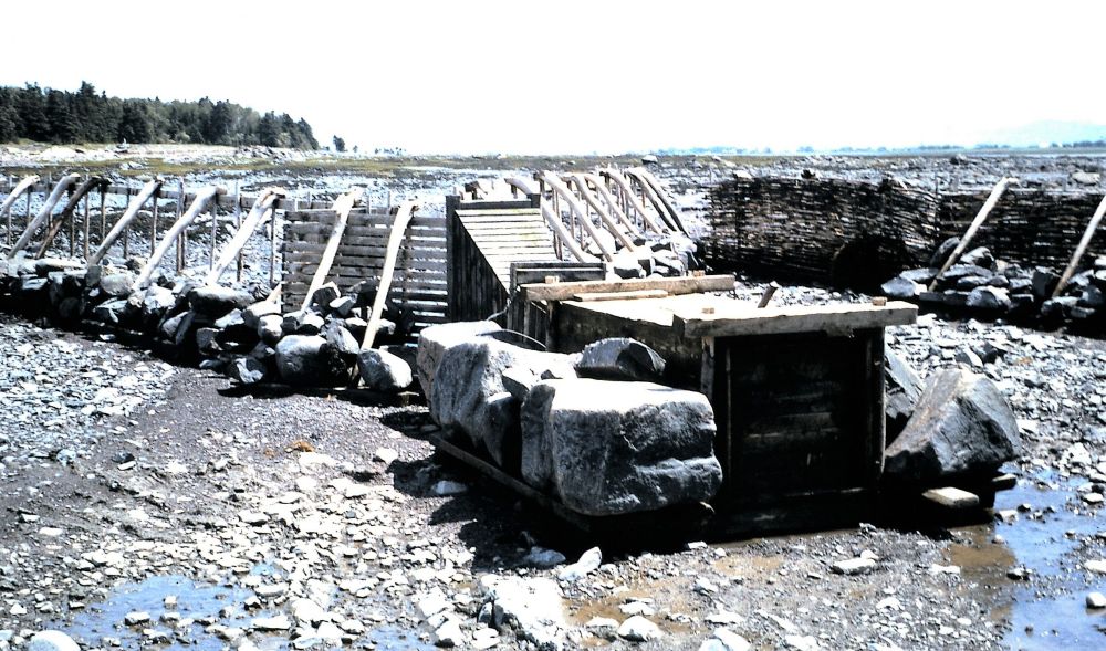 Sur la rive du fleuve à marée basse, une longue rangée de panneaux ajoutés, certains sont recouverts debranchages et forment une barrière. Les panneaux sont tenus en place par de grosses roches à leur base.