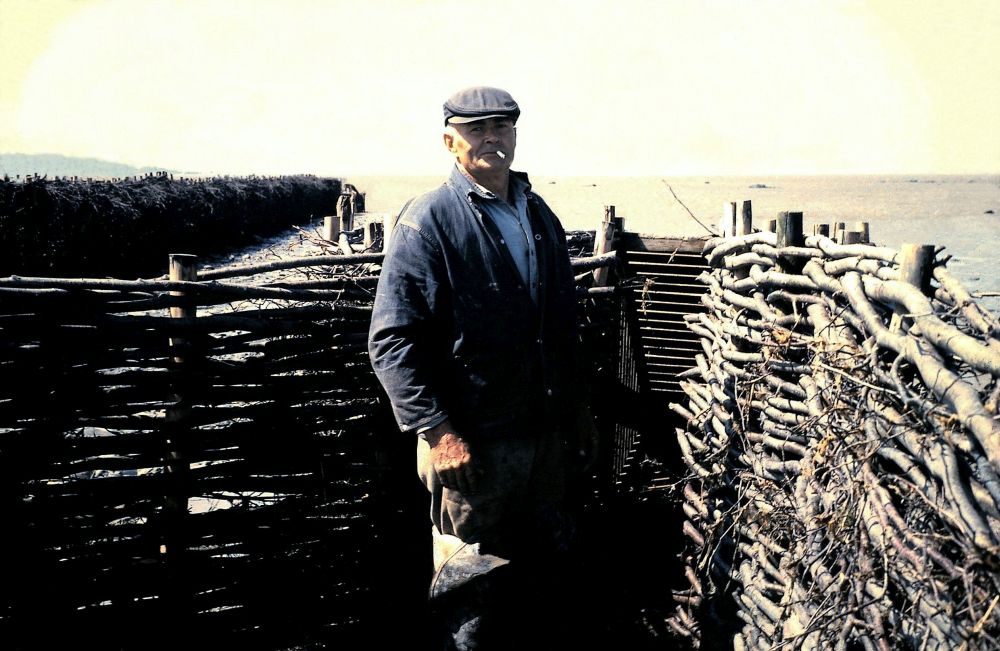 A man wearing work clothes and a cap stands with a cigarette in his mouth inside what seems to be an enclosure formed by two barriers of branches that meet at the opening of a wooden container. The barriers come up to his shoulders. The river can be seen in the background along with another barrier of branches extending into the water.