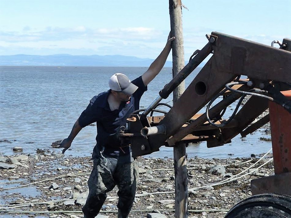 A man dressed in work clothes holds a post being driven into the ground on the shore of the river using a tractor.