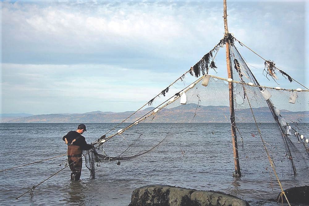 A man wearing boot-foot waders stands in the river holding the bottom of a fishing net that is attached to the top of a post measuring 6 m high.