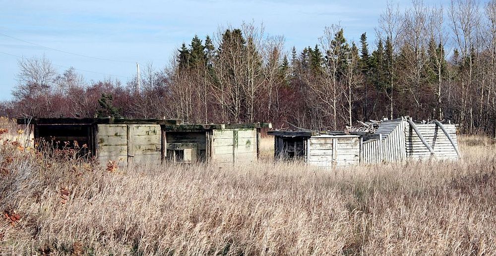 Three large wooden collecting boxes and two wooden funnels placed in a field next to a forest in the fall.