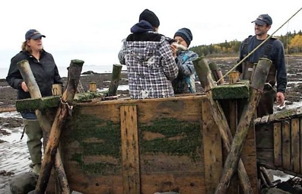 A young girl and a boy stand in a wooden box used to hold eels captive. They are holding an eel in their hands. Their parents stand nearby and smile as they watch them.