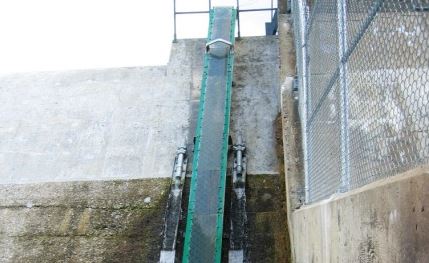 Cement wall of a hydroelectric dam. A narrow slide-like structure running up the wall enables eels to climb over the dam.